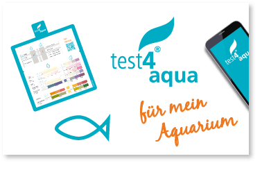 test4aqua für mein Aquarium